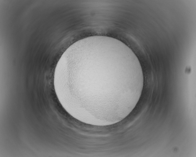 X0000116880032201002021157