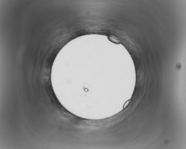 X0000116880033201002021157