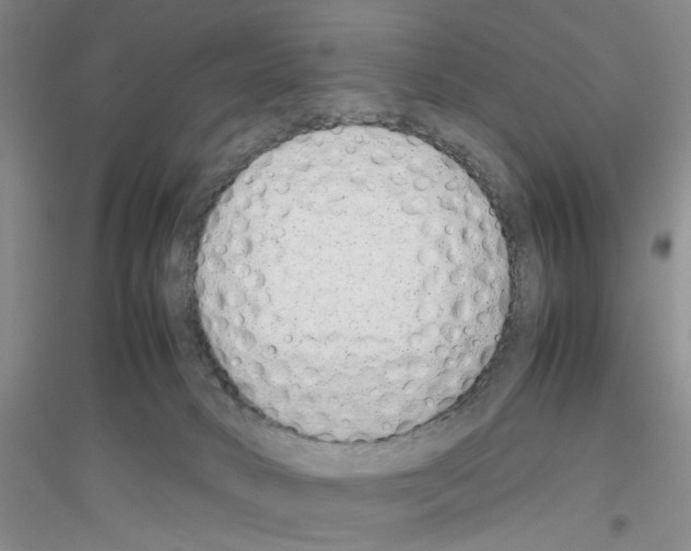 X0000116880034201002021157