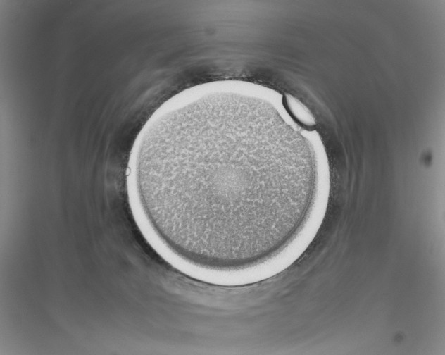 X0000116880035201002021157