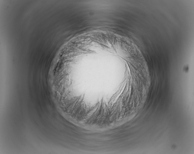 X0000116880036201002021157