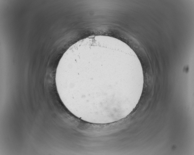 X0000116880037201002021157