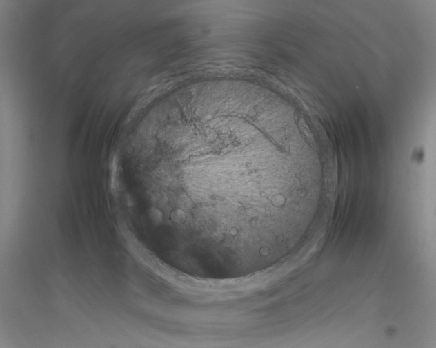 X0000116880038201002021157