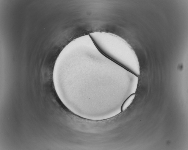 X0000116880039201002021157