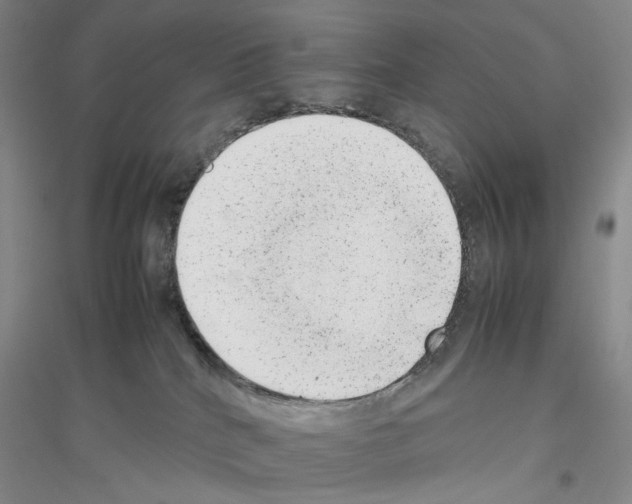 X0000116880040201002021157
