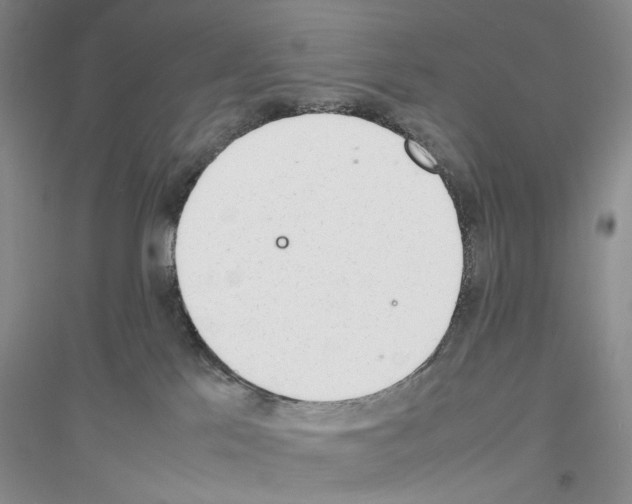 X0000116880041201002021157