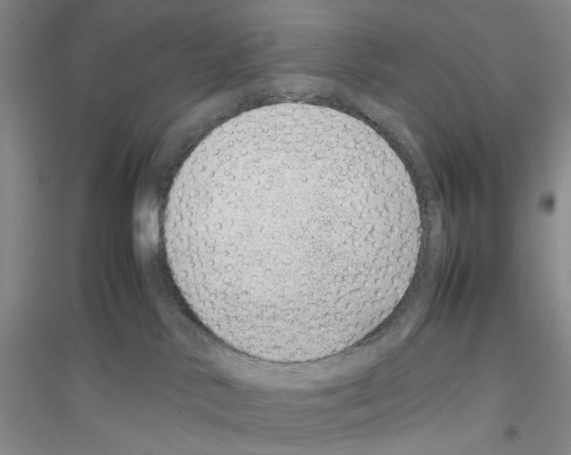 X0000116880042201002021157