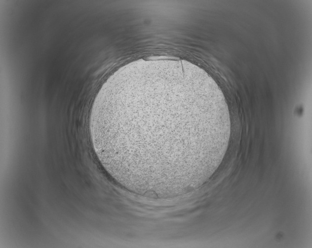 X0000116880043201002021157