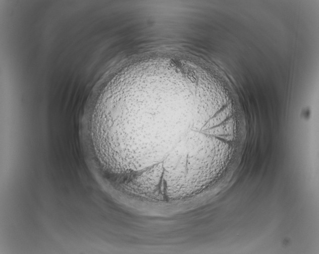 X0000116880044201002021157