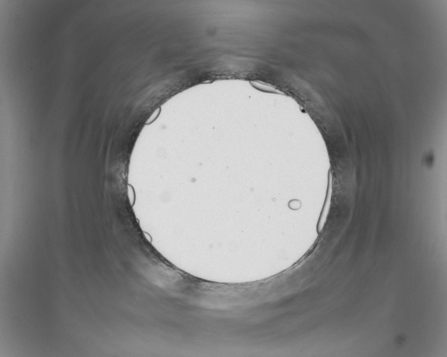 X0000116880045201002021157