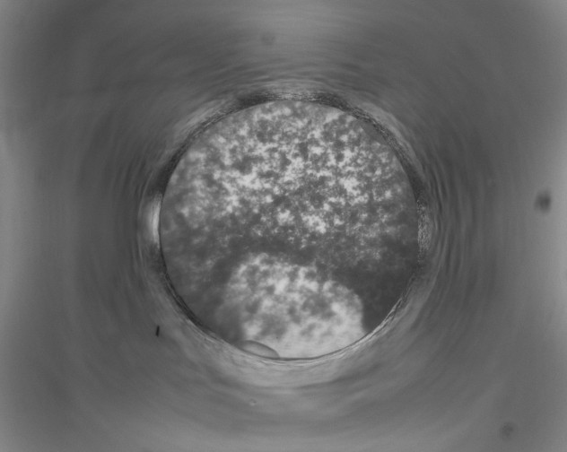 X0000116880047201002021157