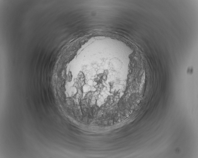 X0000116880048201002021157