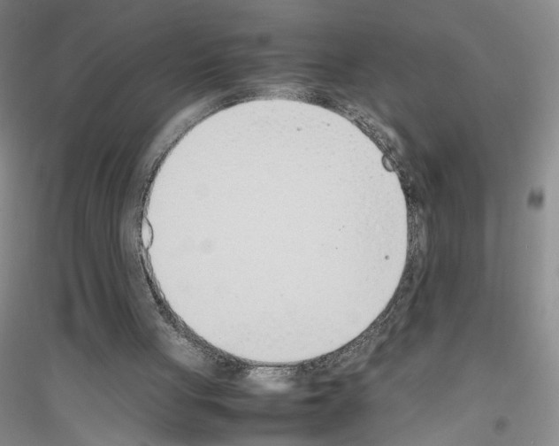 X0000116880051201002021157