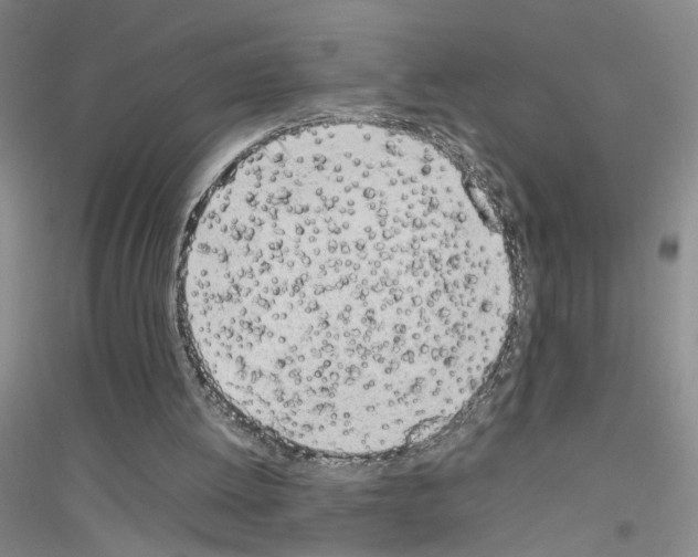 X0000116880052201002021157