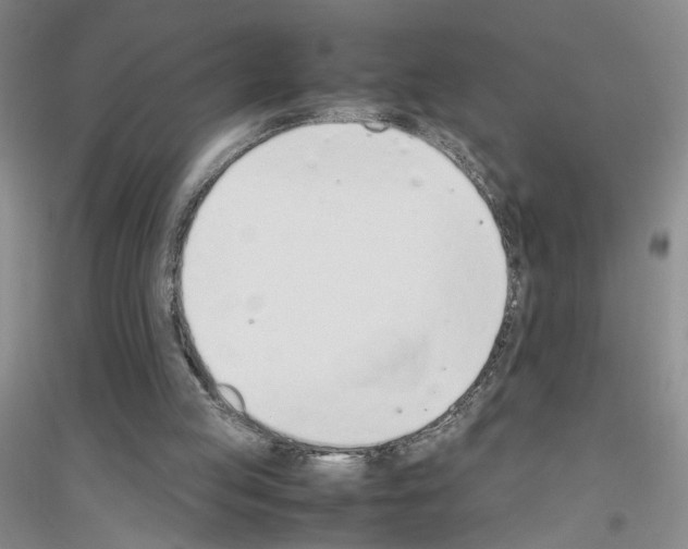X0000116880053201002021157