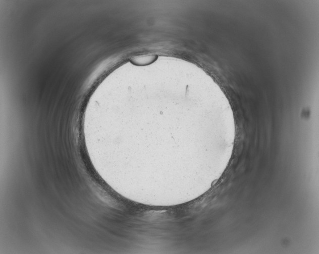X0000116880054201002021157