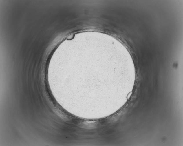 X0000116880055201002021157