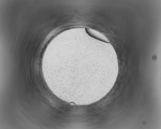 X0000116880056201002021157