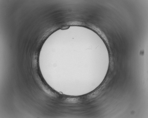 X0000116880057201002021157