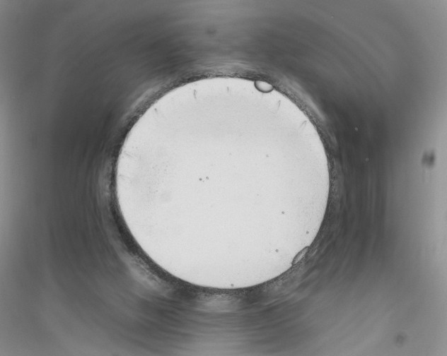 X0000116880058201002021157