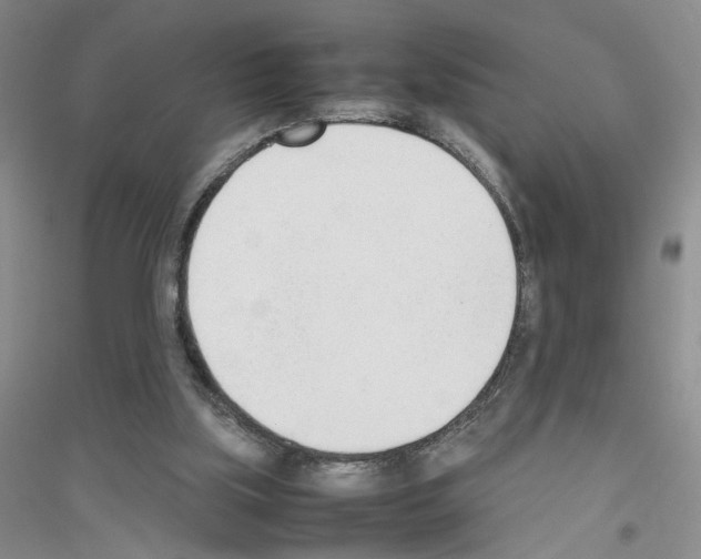 X0000116880059201002021157