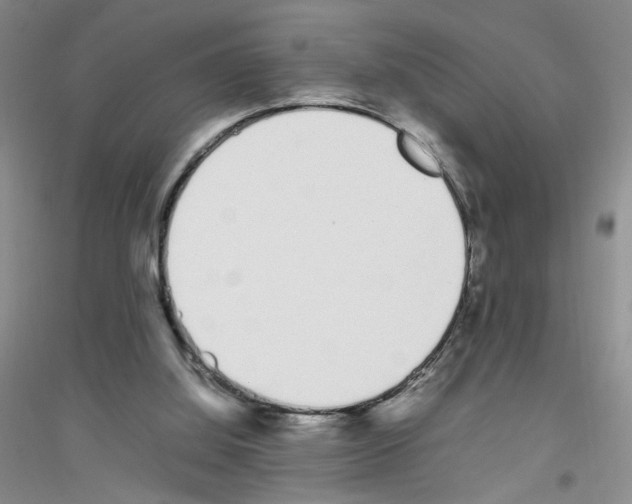 X0000116880060201002021157