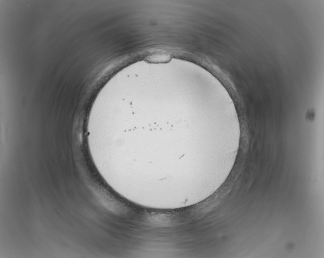 X0000116880062201002021157