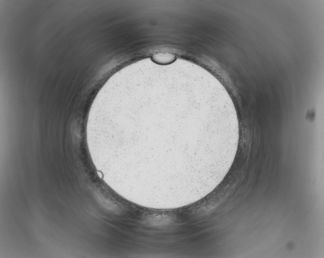 X0000116880063201002021157