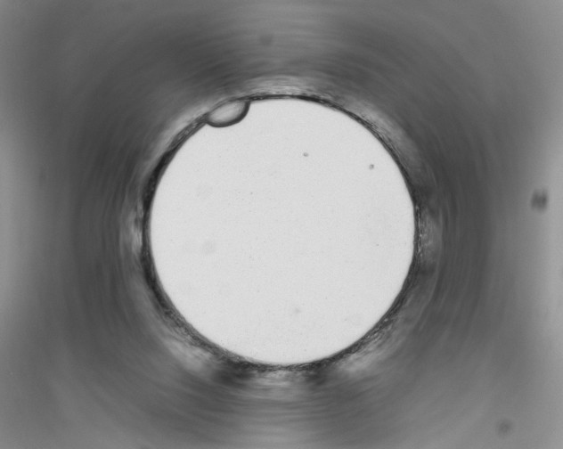 X0000116880064201002021157