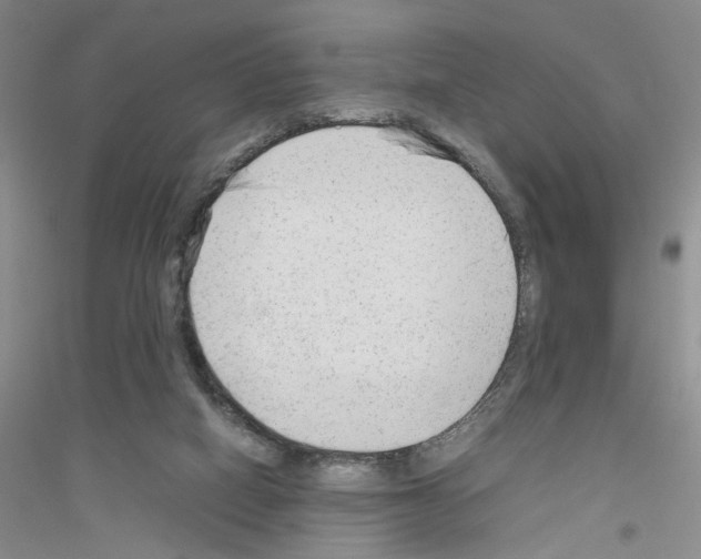 X0000116880066201002021157