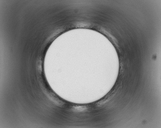 X0000116880067201002021157