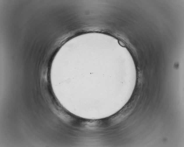 X0000116880068201002021157