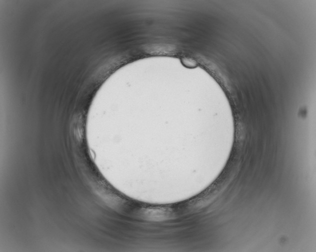 X0000116880069201002021157