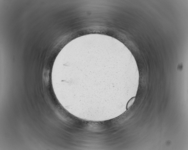 X0000116880070201002021157
