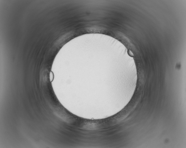 X0000116880071201002021157