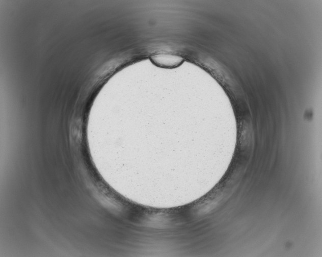 X0000116880072201002021157