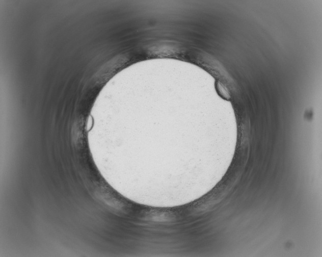 X0000116880073201002021157