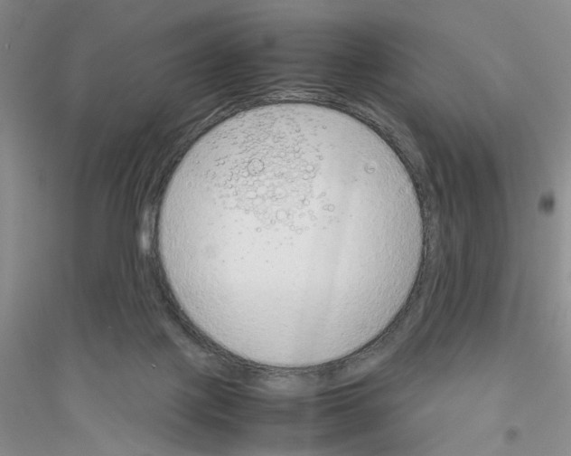 X0000116880075201002021157