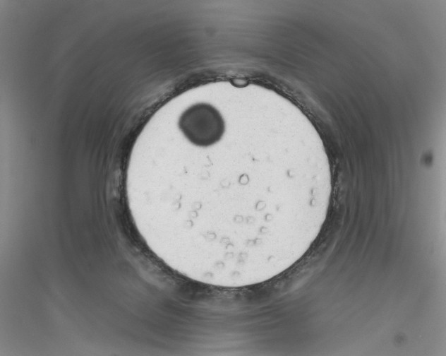 X0000116880076201002021157
