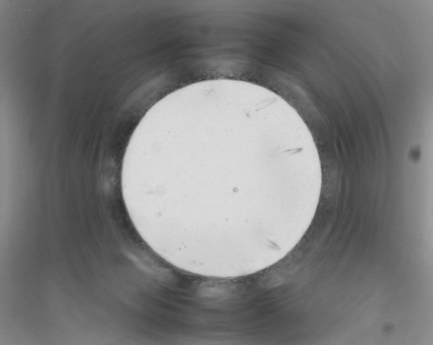 X0000116880077201002021157