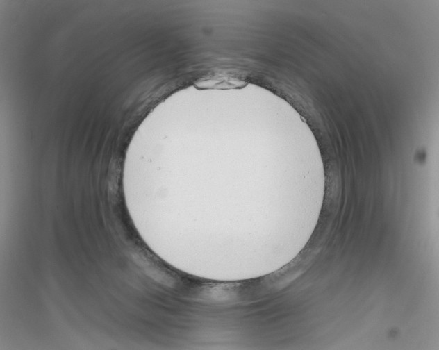 X0000116880078201002021157