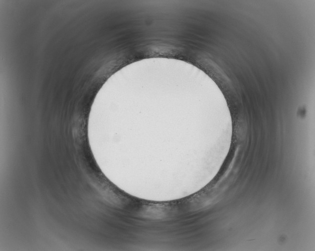 X0000116880079201002021157
