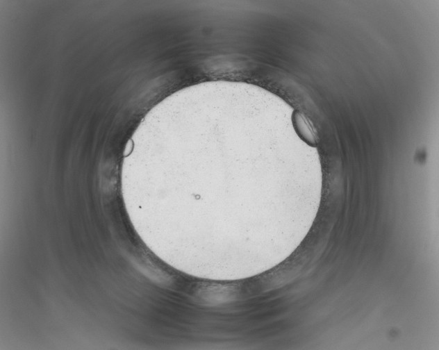 X0000116880081201002021157