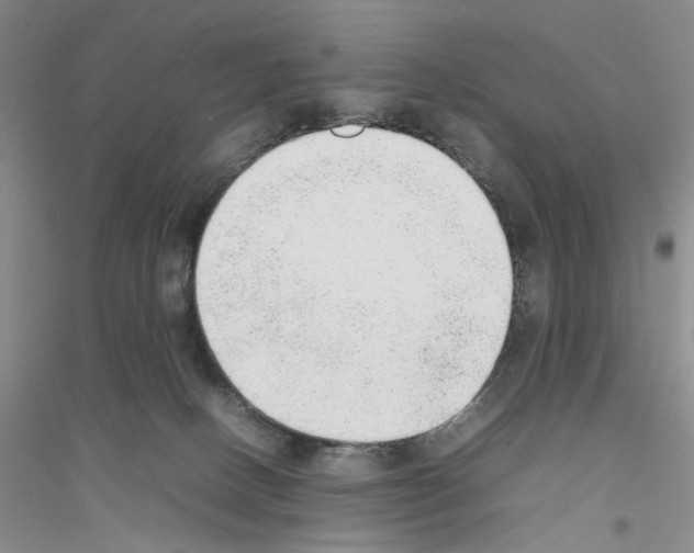 X0000116880082201002021157