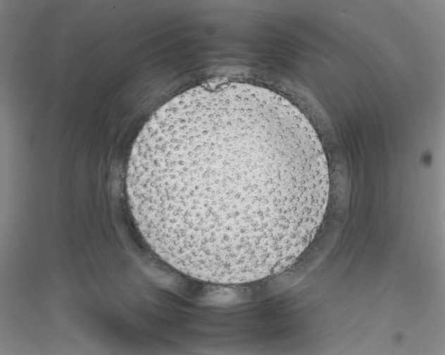 X0000116880083201002021157