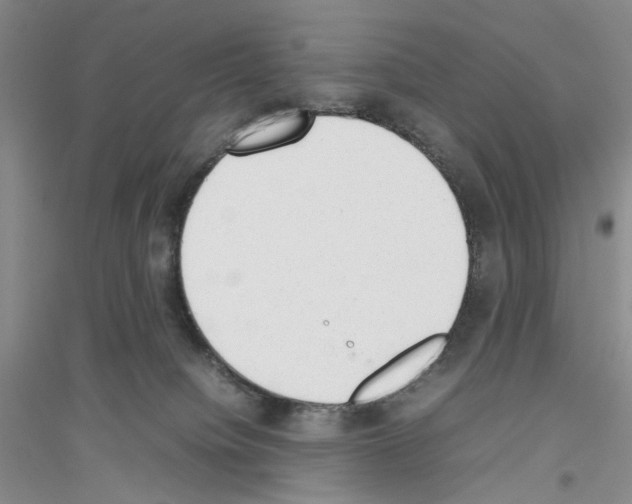 X0000116880084201002021157