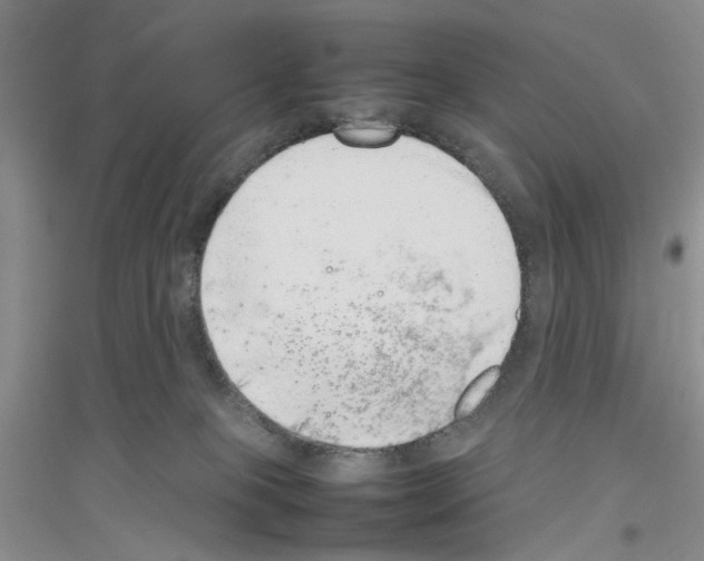 X0000116880085201002021157