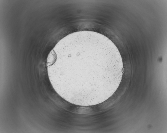 X0000116880087201002021157