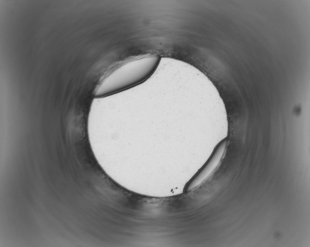 X0000116880088201002021157