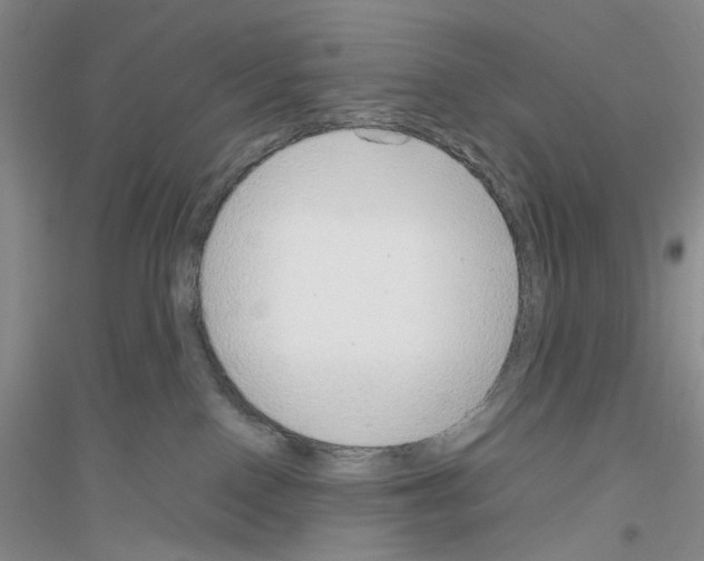 X0000116880090201002021157